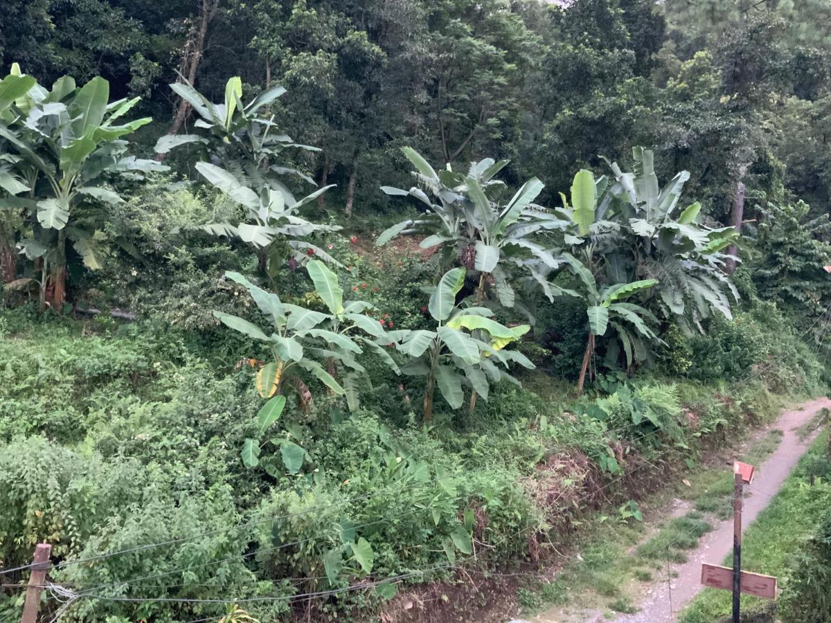 Bamboo Garden Villa Pokhara Luaran gambar